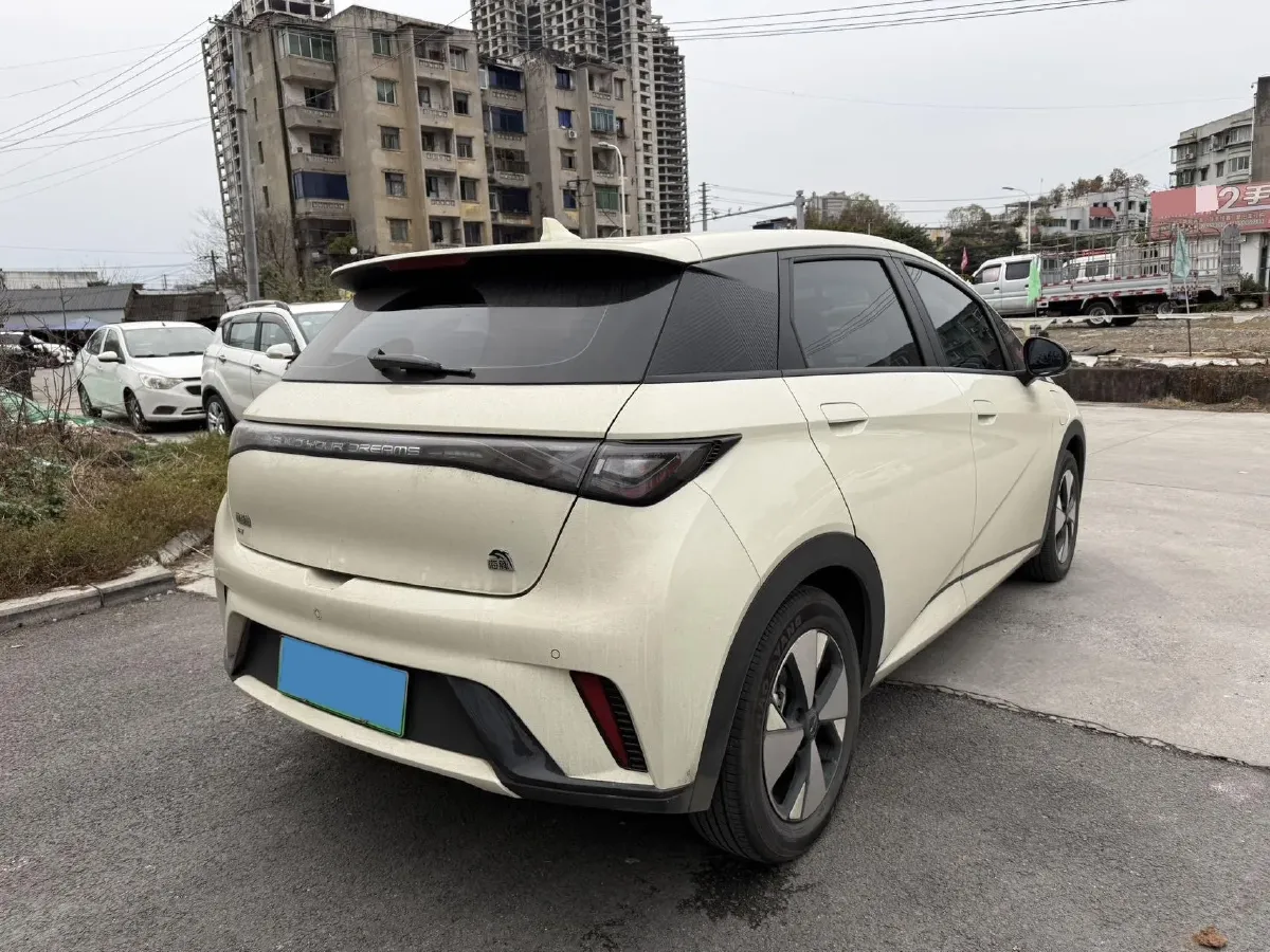2023 BYD Dolphin BEV 44.928KWH,autocango,china used car exporter,china ev exporter,chinese used car exporter,chinese used ev exporter