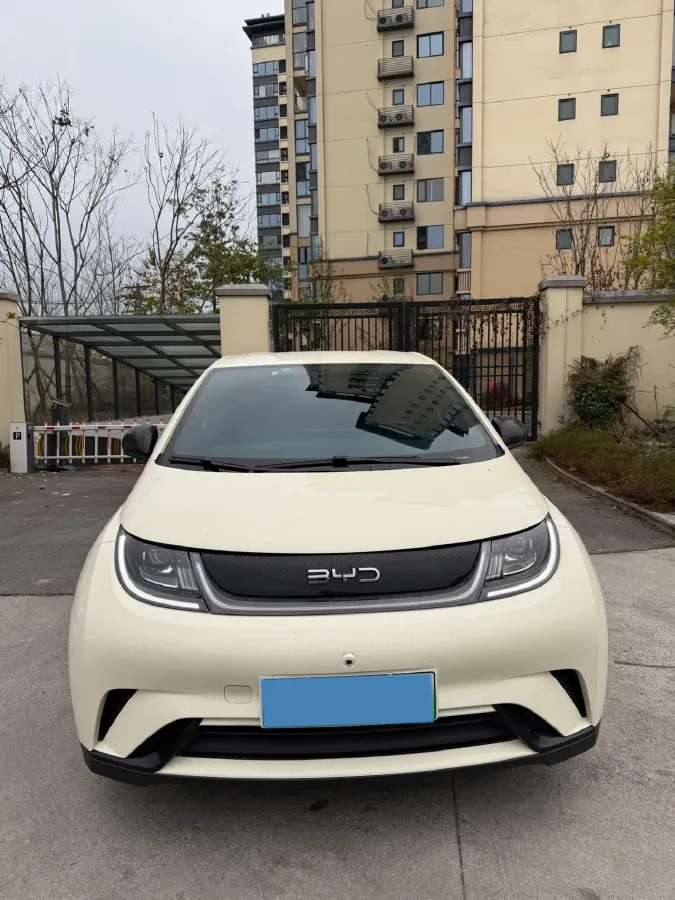 2023 BYD Dolphin BEV 44.928KWH,autocango,china used car exporter,china ev exporter,chinese used car exporter,chinese used ev exporter