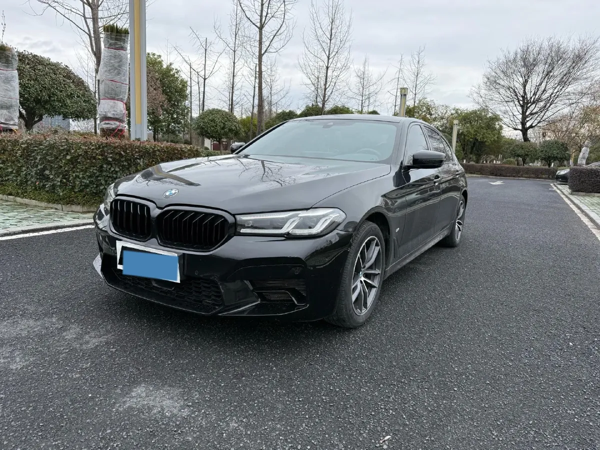 2021 BMW 5 Series 2.0T 184HP L4 8AT,autocango,china used car exporter,china ev exporter,chinese used car exporter,chinese used ev exporter