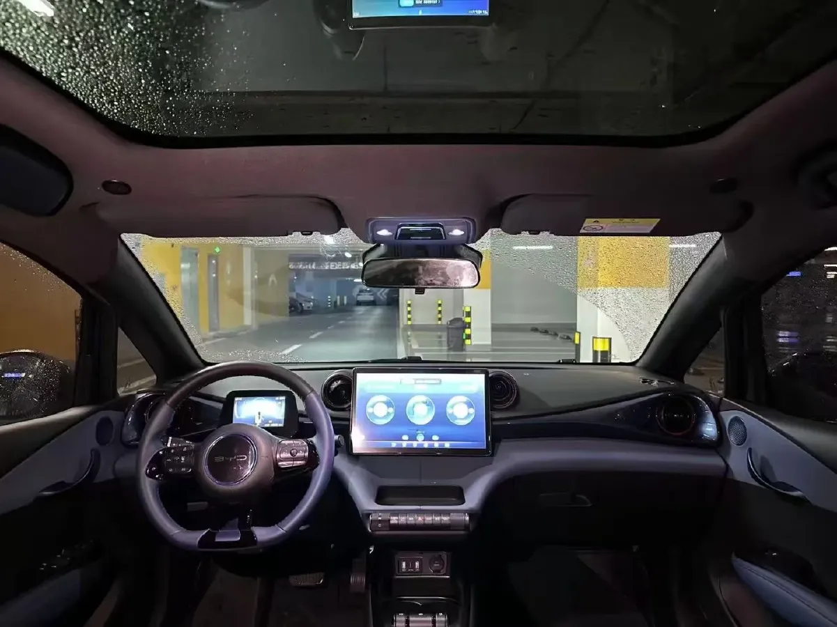 2023 BYD Dolphin BEV 44.928KWH,autocango,china used car exporter,china ev exporter,chinese used car exporter,chinese used ev exporter