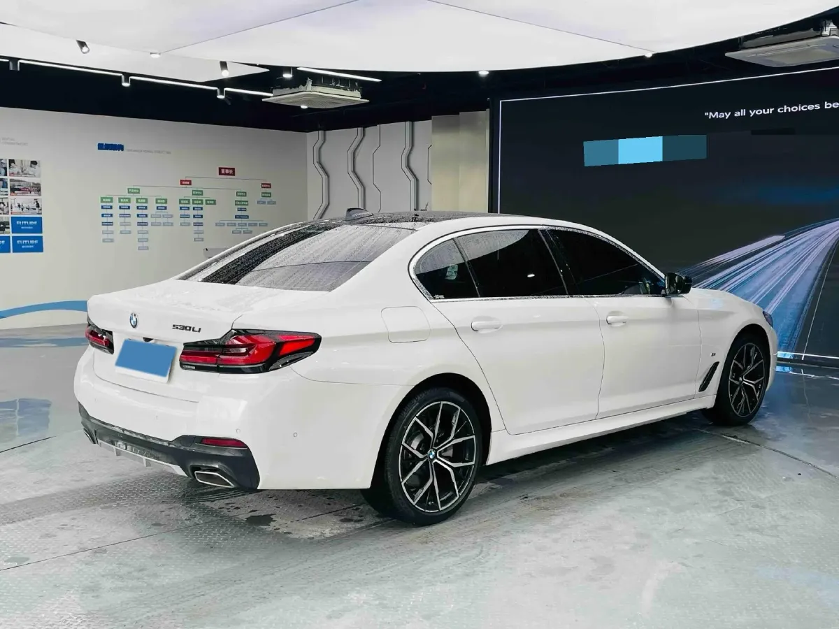 2021 BMW 5 Series 2.0T 184HP L4 8AT,autocango,china used car exporter,china ev exporter,chinese used car exporter,chinese used ev exporter
