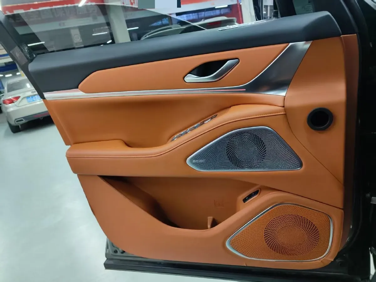 2025 WEY BlueMountain 1.5T 170HP L4 4DHT PHEV 44.5KWH,autocango,china used car exporter,china ev exporter,chinese used car exporter,chinese used ev exporter