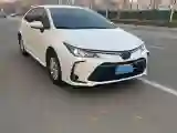 2019 Toyota Corolla 1.2T 116HP L4 CVT