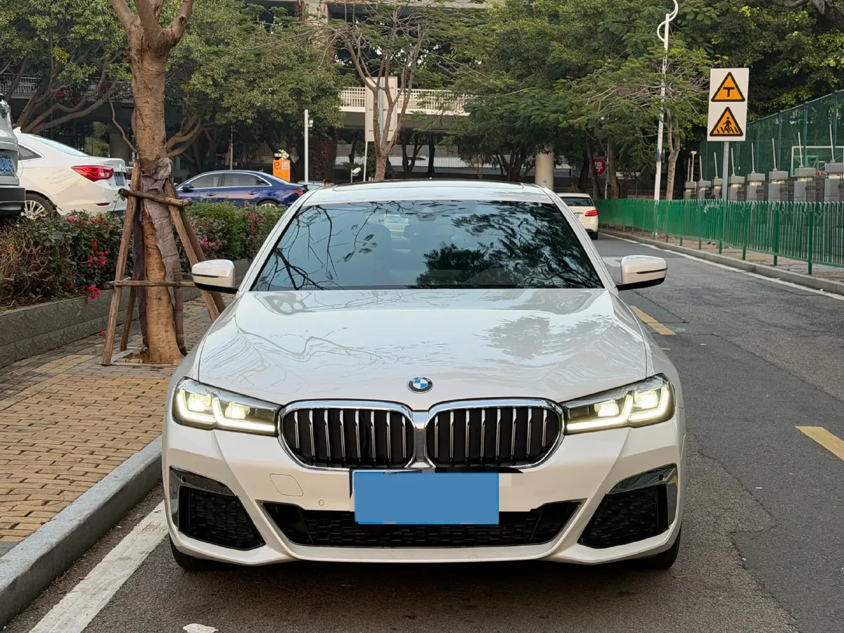 2022 BMW 5 Series 2.0T 184HP L4 8AT,autocango,china used car exporter,china ev exporter,chinese used car exporter,chinese used ev exporter