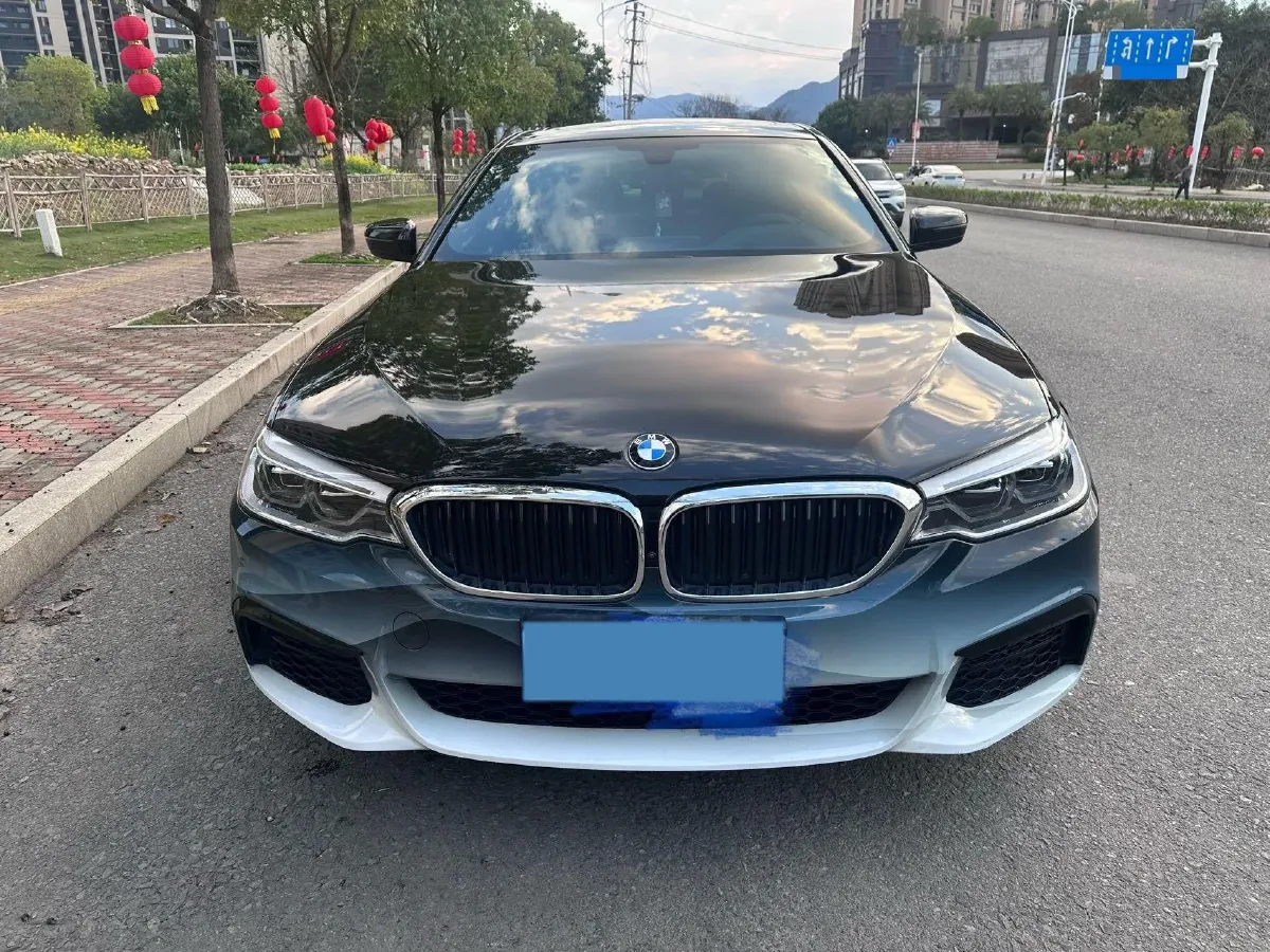 2020 BMW 5 Series 2.0T 252HP L4 8AT,autocango,china used car exporter,china ev exporter,chinese used car exporter,chinese used ev exporter