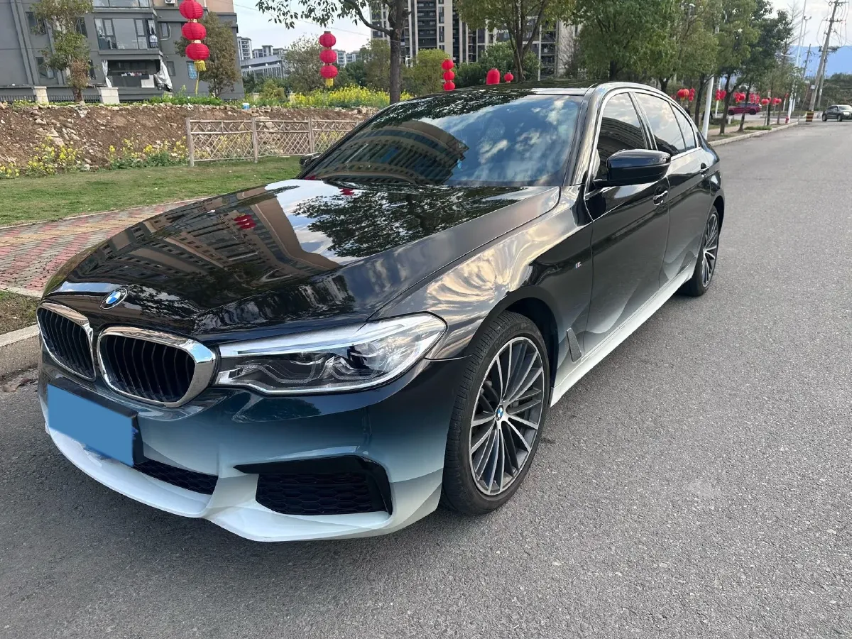 2020 BMW 5 Series 2.0T 252HP L4 8AT,autocango,china used car exporter,china ev exporter,chinese used car exporter,chinese used ev exporter