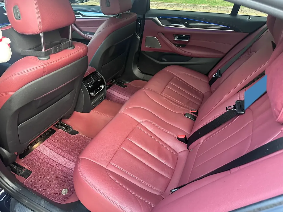 2020 BMW 5 Series 2.0T 252HP L4 8AT,autocango,china used car exporter,china ev exporter,chinese used car exporter,chinese used ev exporter