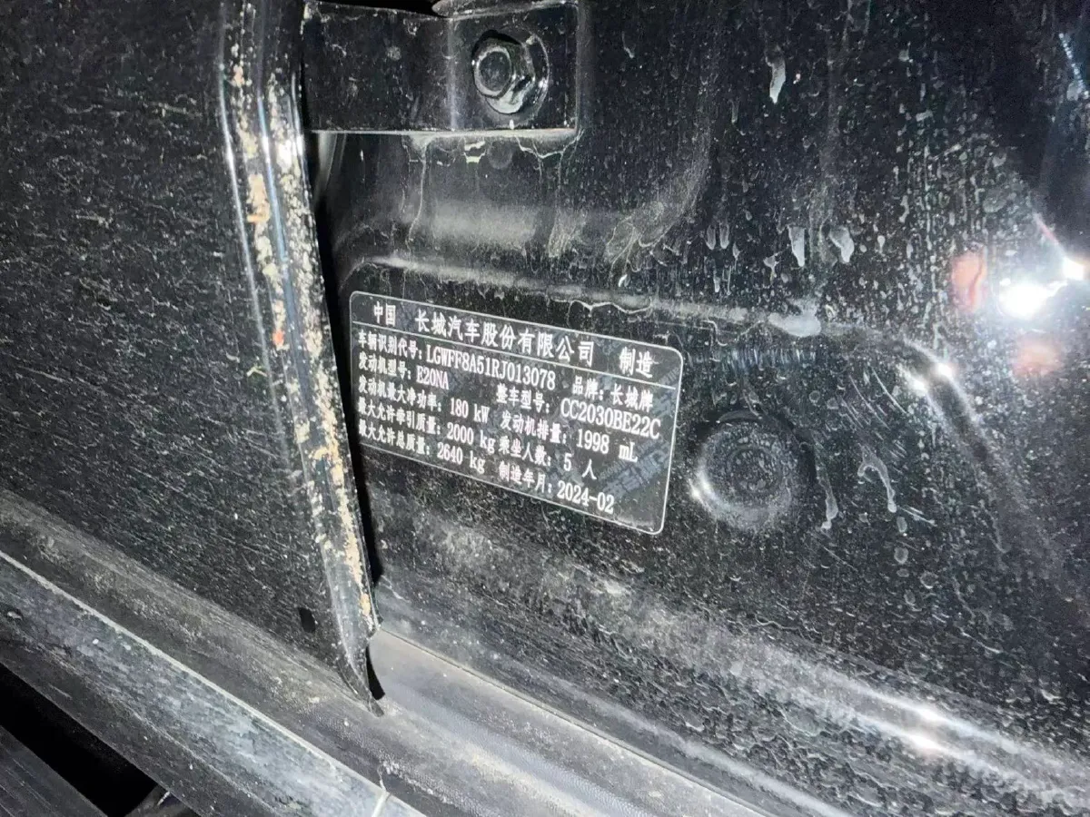 2024 Tank 300 2.0T 252HP L4 9AT,autocango,china used car exporter,china ev exporter,chinese used car exporter,chinese used ev exporter