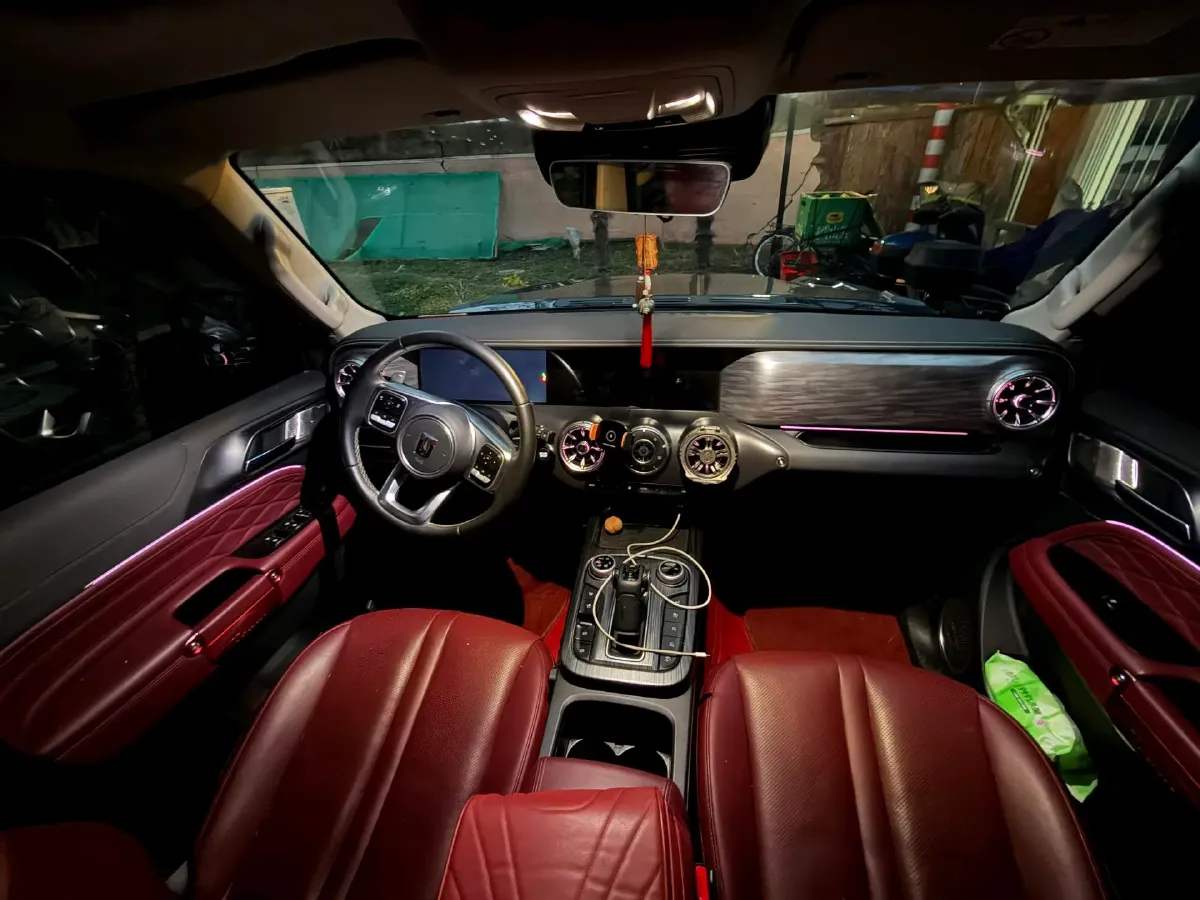 2024 Tank 300 2.0T 252HP L4 9AT,autocango,china used car exporter,china ev exporter,chinese used car exporter,chinese used ev exporter