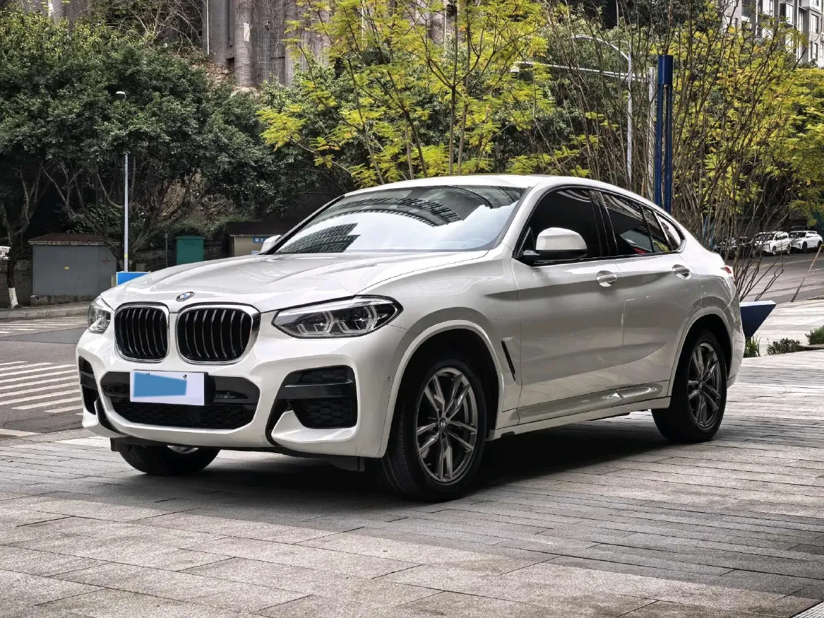 2020 BMW X4 2.0T 184HP L4 8AT,autocango,china used car exporter,china ev exporter,chinese used car exporter,chinese used ev exporter