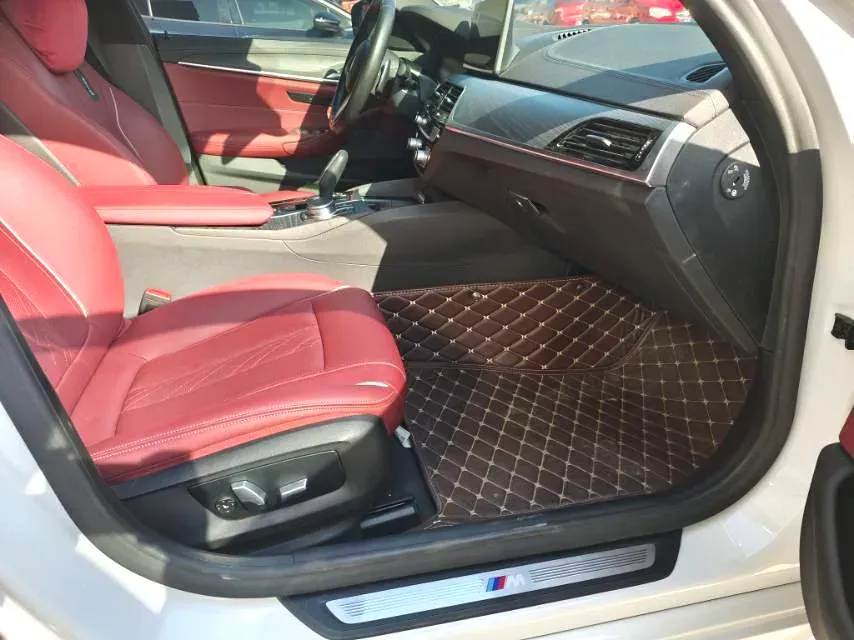 2021 BMW 5 Series 2.0T 252HP L4 8AT,autocango,china used car exporter,china ev exporter,chinese used car exporter,chinese used ev exporter