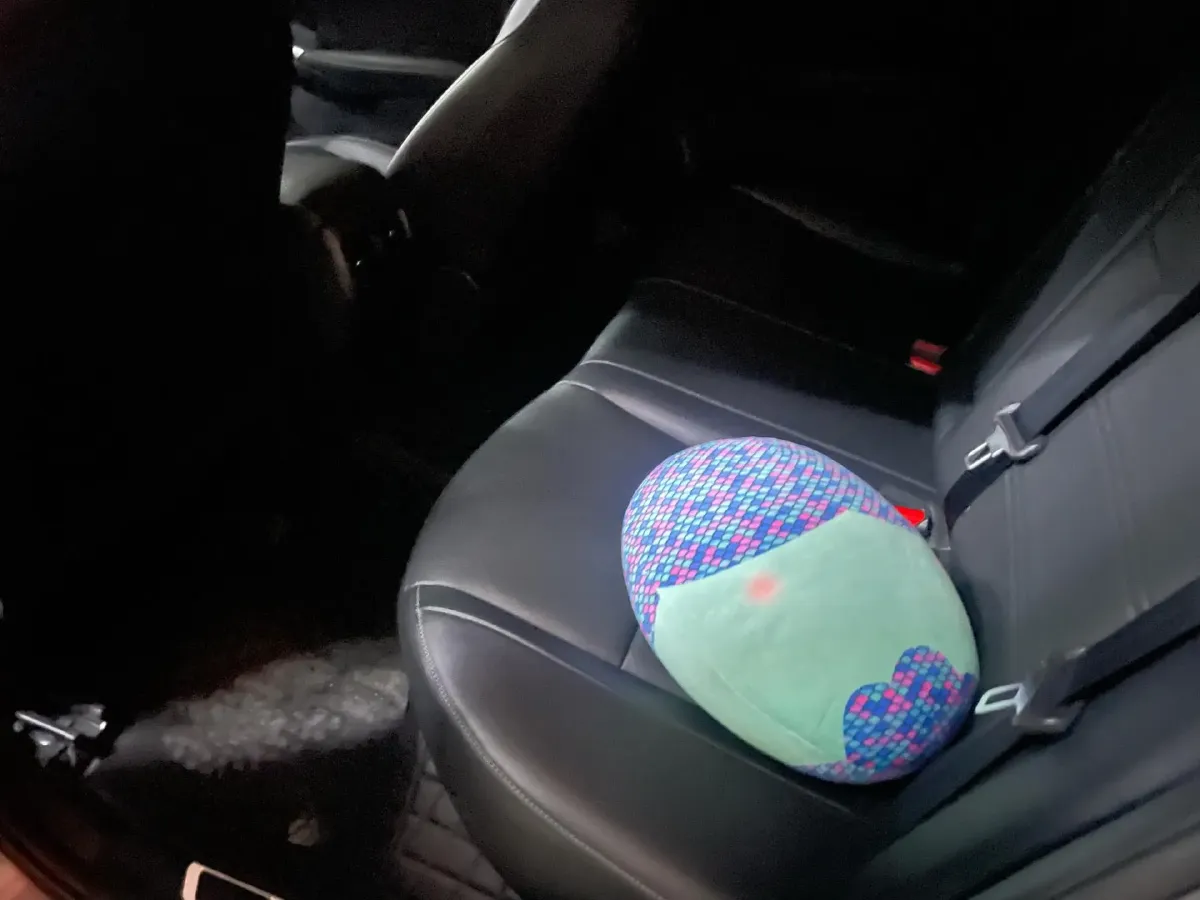 2022 Nissan Sylphy 1.6L 135HP L4 CVT,autocango,china used car exporter,china ev exporter,chinese used car exporter,chinese used ev exporter