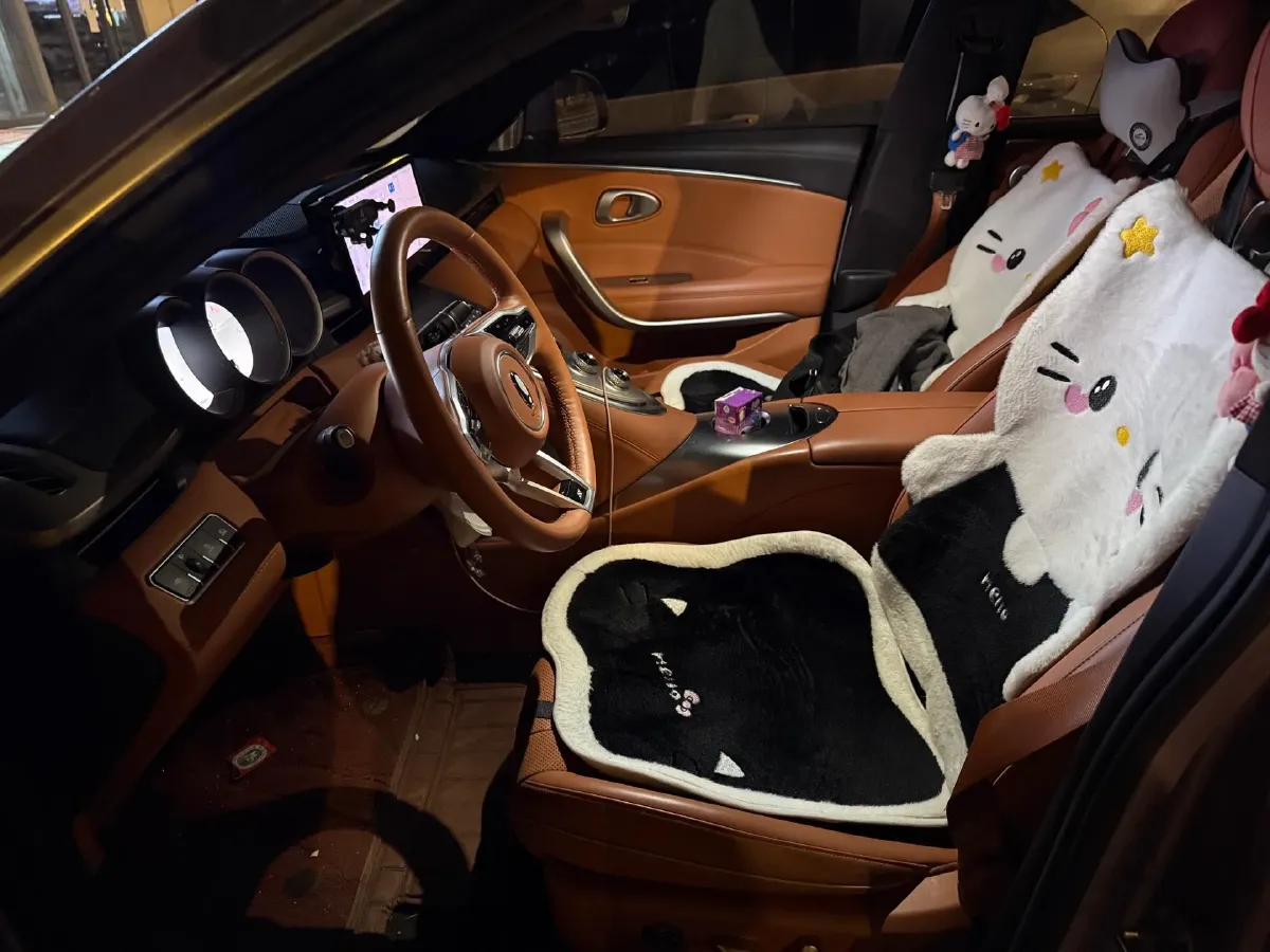 2022 Ora LightningCat BEV 64.31/63.87KWH,autocango,china used car exporter,china ev exporter,chinese used car exporter,chinese used ev exporter