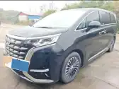 2024 DENZA D9,autocango,china used car exporter,china ev exporter,chinese used car exporter,chinese used ev exporter