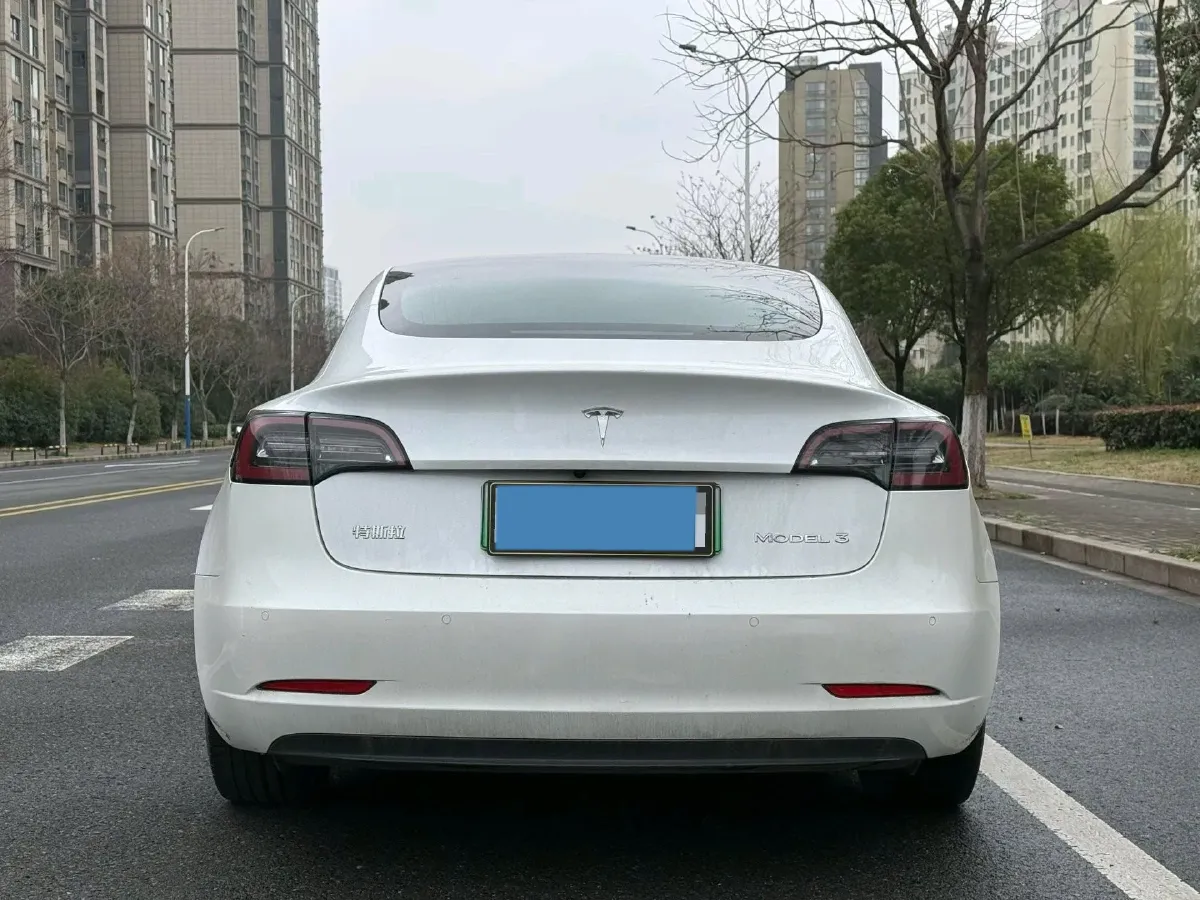 2020 Tesla Model 3 BEV 55KWH,autocango,china used car exporter,china ev exporter,chinese used car exporter,chinese used ev exporter