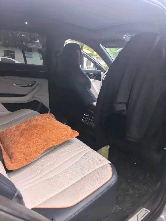 2021 BYD Qin BEV 53.56KWH,autocango,china used car exporter,china ev exporter,chinese used car exporter,chinese used ev exporter