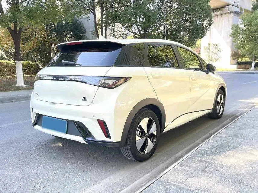 2023 BYD Dolphin BEV 44.928KWH,autocango,china used car exporter,china ev exporter,chinese used car exporter,chinese used ev exporter