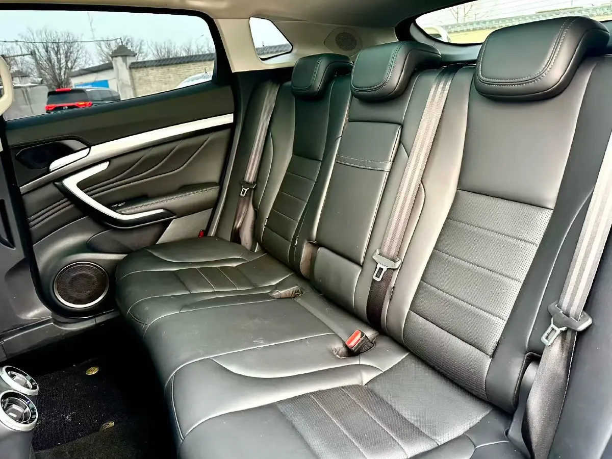 2017 WEY VV7 2.0T 234HP L4 7DCT,autocango,china used car exporter,china ev exporter,chinese used car exporter,chinese used ev exporter