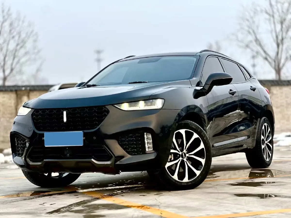 2017 WEY VV7 2.0T 234HP L4 7DCT,autocango,china used car exporter,china ev exporter,chinese used car exporter,chinese used ev exporter