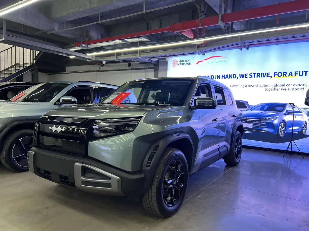 2025 FangChengBao Tai 3 BEV,autocango,china used car exporter,china ev exporter,chinese used car exporter,chinese used ev exporter