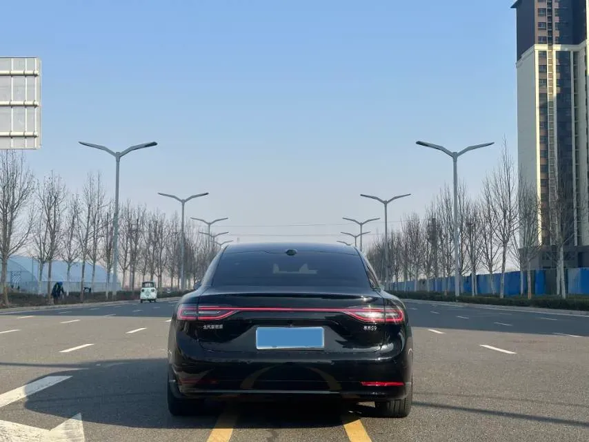 2024 HIMA Stelato S9 BEV 100KWH,autocango,china used car exporter,china ev exporter,chinese used car exporter,chinese used ev exporter