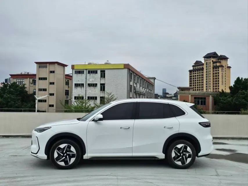 2024 Great Wall Poer 2.4T 186HP L4 9AT,autocango,china used car exporter,china ev exporter,chinese used car exporter,chinese used ev exporter