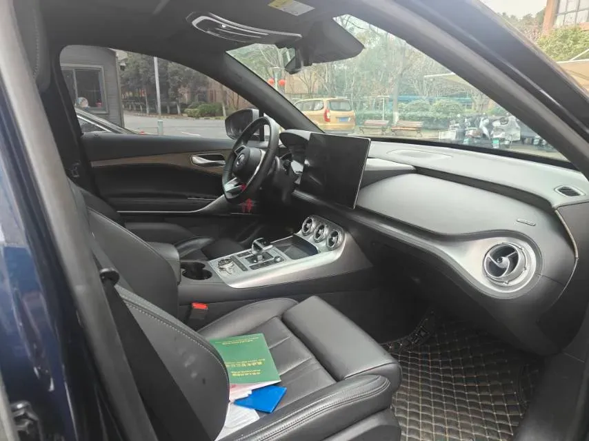 2020 Denza X 2.0T 192HP L4 6DCT PHEV 24KWH,autocango,china used car exporter,china ev exporter,chinese used car exporter,chinese used ev exporter