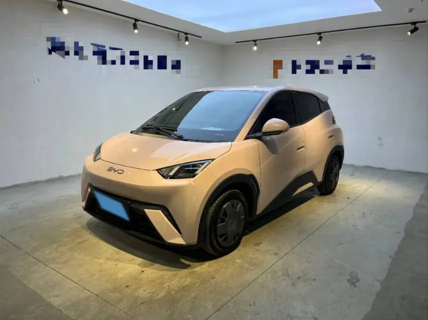 2024 BYD Seagull BEV 30.08KWH,autocango,china used car exporter,china ev exporter,chinese used car exporter,chinese used ev exporter