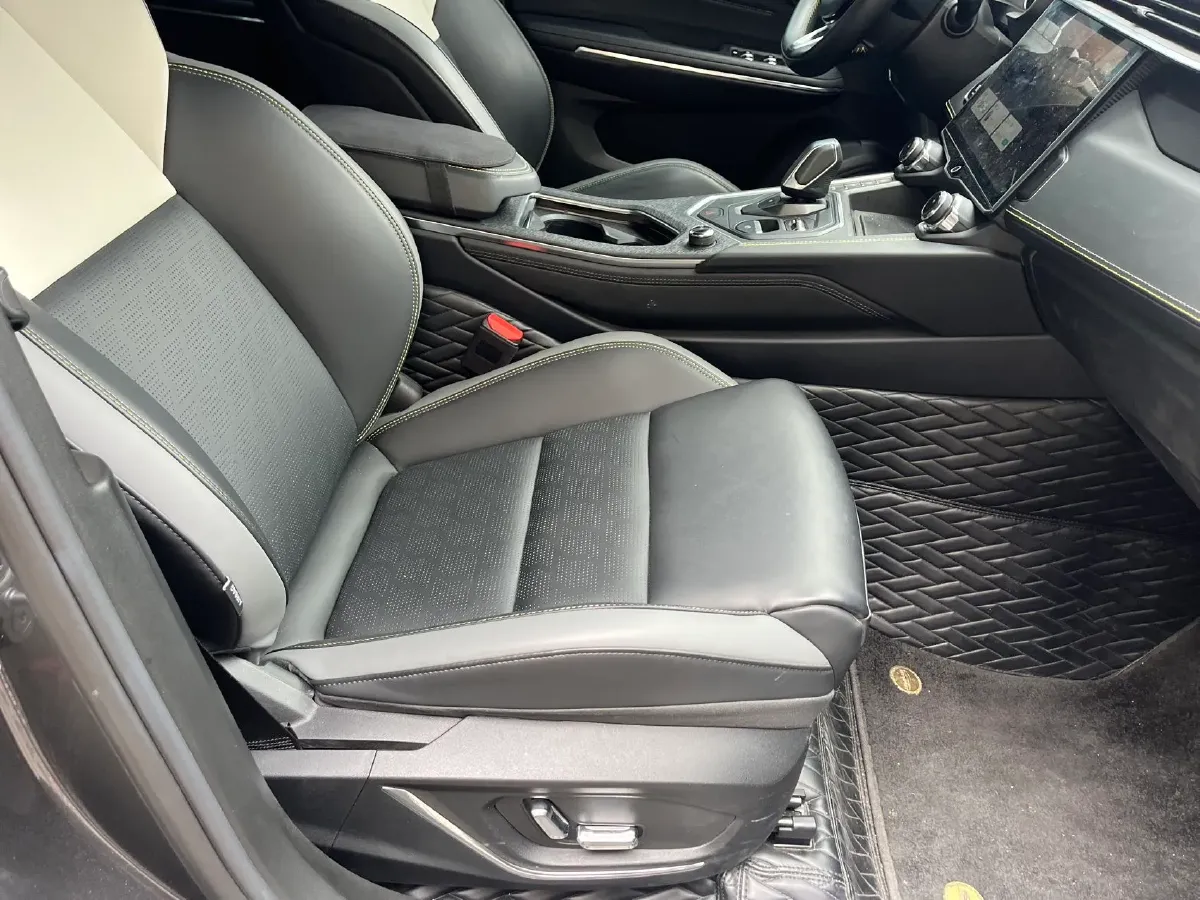 2023 Tank 300 2.0T 227HP L4 8AT,autocango,china used car exporter,china ev exporter,chinese used car exporter,chinese used ev exporter