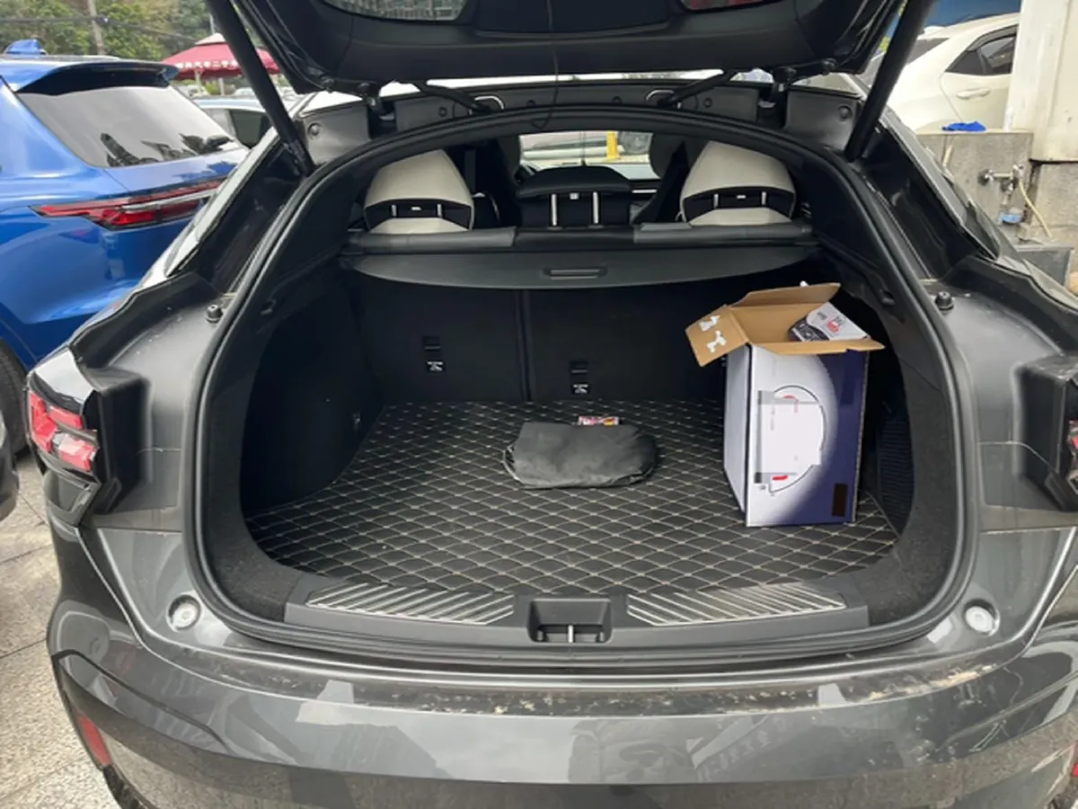 2023 Tank 300 2.0T 227HP L4 8AT,autocango,china used car exporter,china ev exporter,chinese used car exporter,chinese used ev exporter