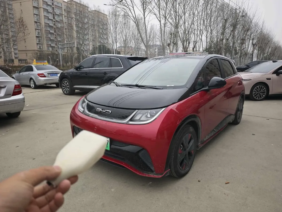 2023 BYD Dolphin BEV 44.928KWH,autocango,china used car exporter,china ev exporter,chinese used car exporter,chinese used ev exporter