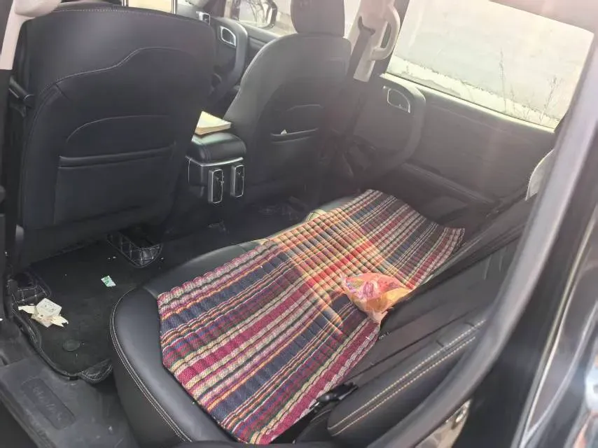 2024 Haval Dargo 2.0T 238HP L4 9DCT,autocango,china used car exporter,china ev exporter,chinese used car exporter,chinese used ev exporter