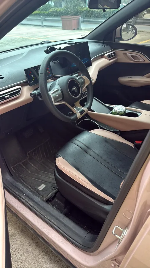 2025 BYD Seagull BEV 30.08KWH,autocango,china used car exporter,china ev exporter,chinese used car exporter,chinese used ev exporter