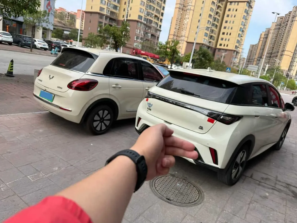 2023 BYD Dolphin BEV 44.928KWH,autocango,china used car exporter,china ev exporter,chinese used car exporter,chinese used ev exporter