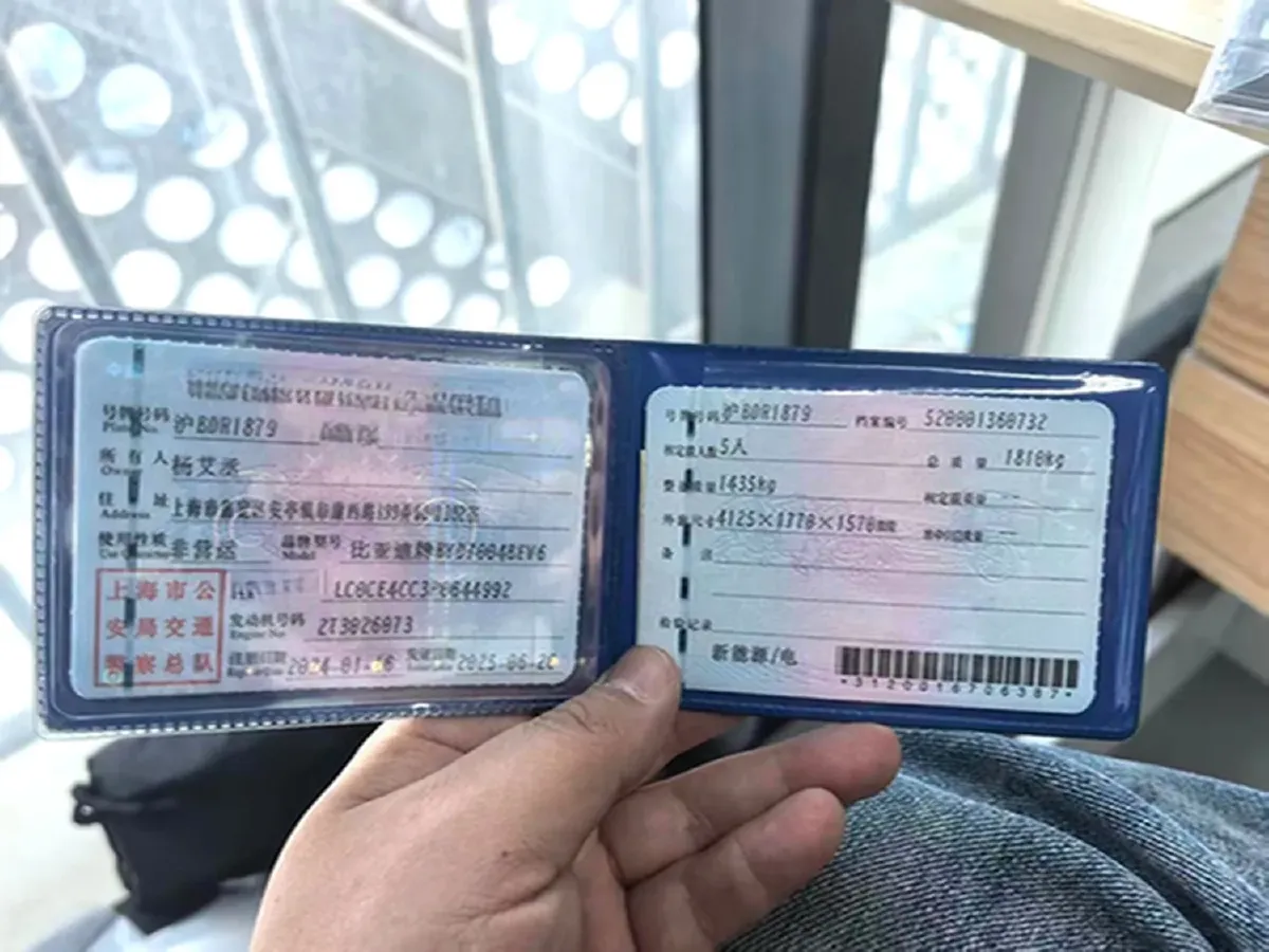 2023 BYD Dolphin BEV 44.928KWH,autocango,china used car exporter,china ev exporter,chinese used car exporter,chinese used ev exporter