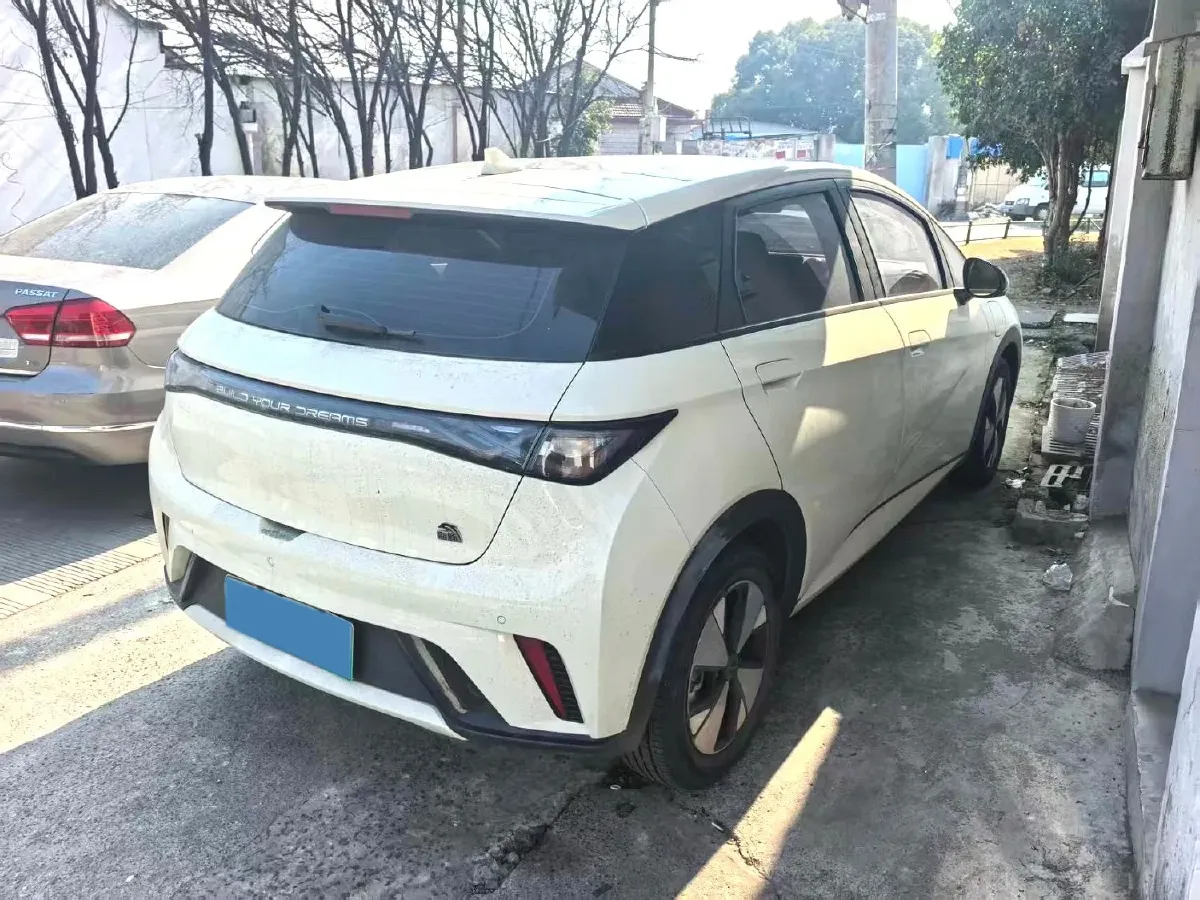2023 BYD Dolphin BEV 44.928KWH,autocango,china used car exporter,china ev exporter,chinese used car exporter,chinese used ev exporter