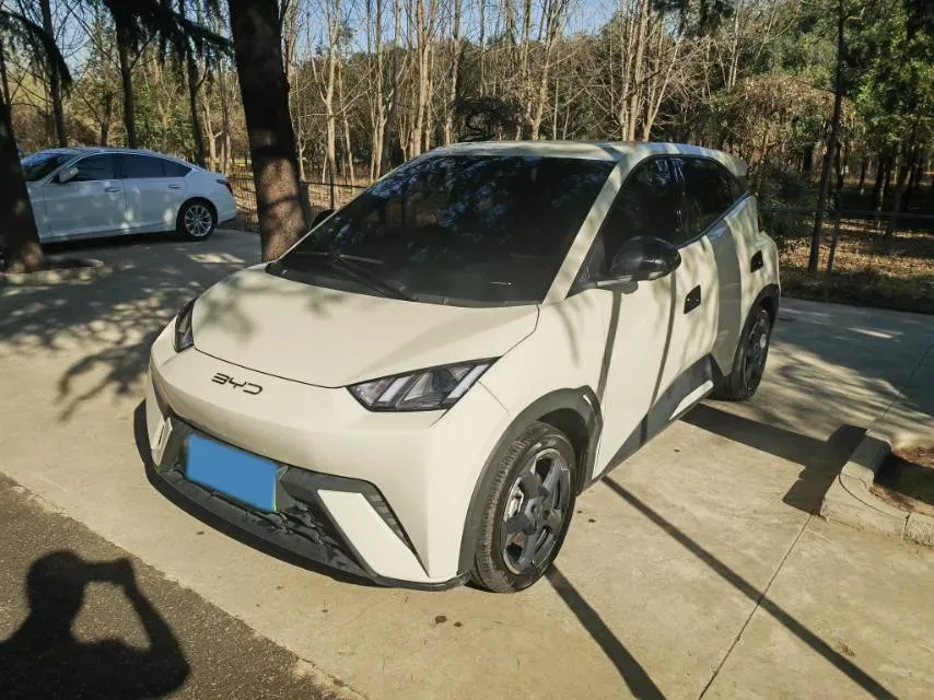2023 BYD Seagull BEV 30.08KWH,autocango,china used car exporter,china ev exporter,chinese used car exporter,chinese used ev exporter