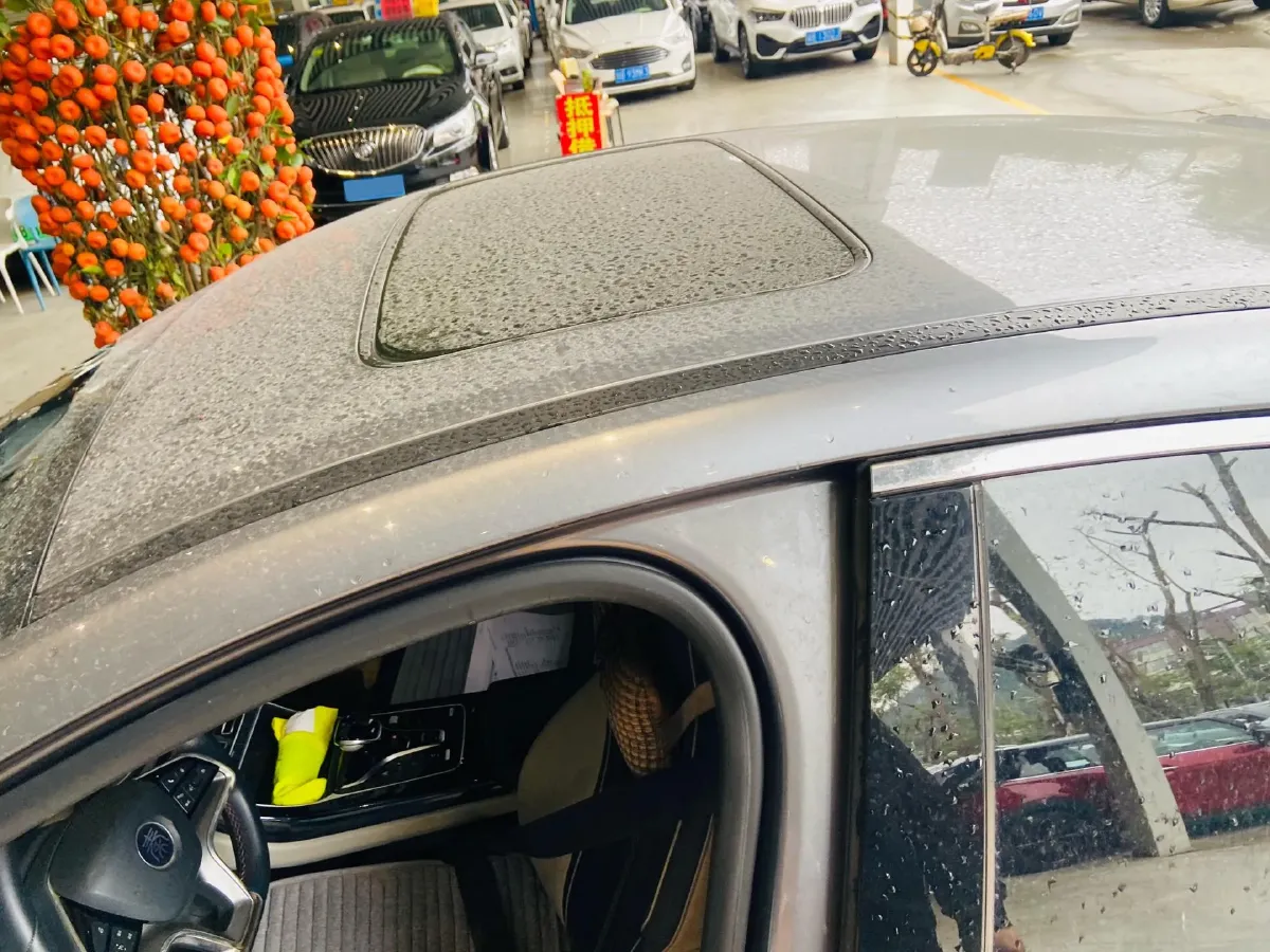 2021 DongFeng FuKang e Elysee BEV 30.7KWH,autocango,china used car exporter,china ev exporter,chinese used car exporter,chinese used ev exporter