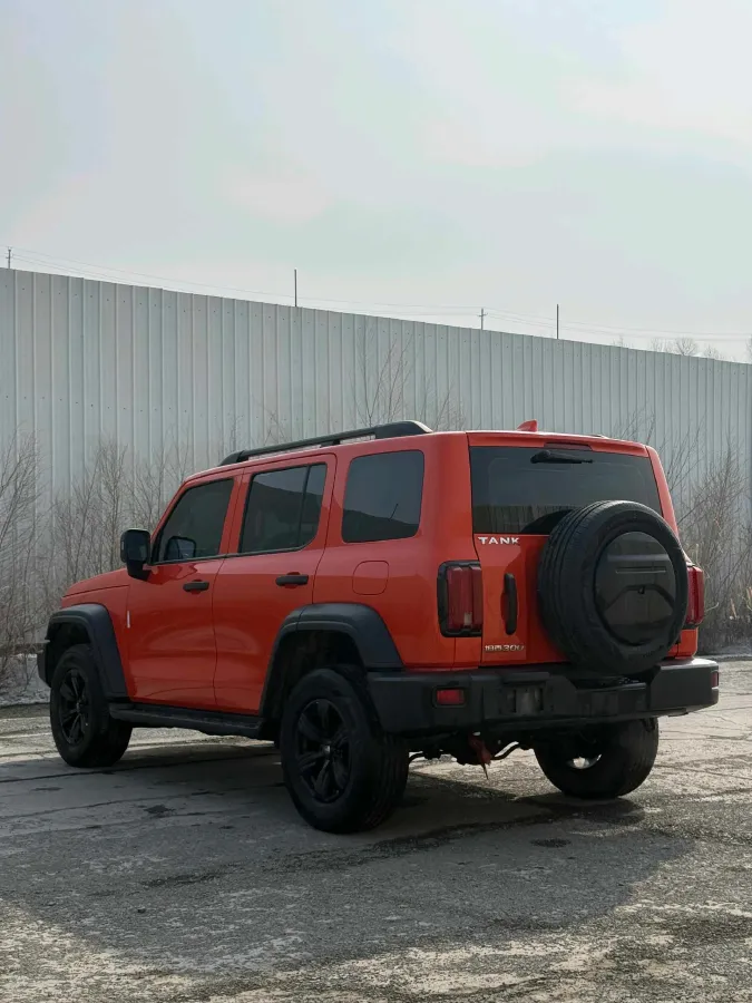 2023 Tank 300 2.0T 227HP L4 8AT,autocango,china used car exporter,china ev exporter,chinese used car exporter,chinese used ev exporter
