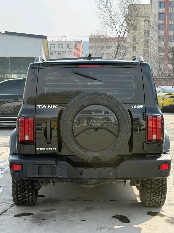 2023 Tank 300 2.0T 227HP L4 8AT,autocango,china used car exporter,china ev exporter,chinese used car exporter,chinese used ev exporter