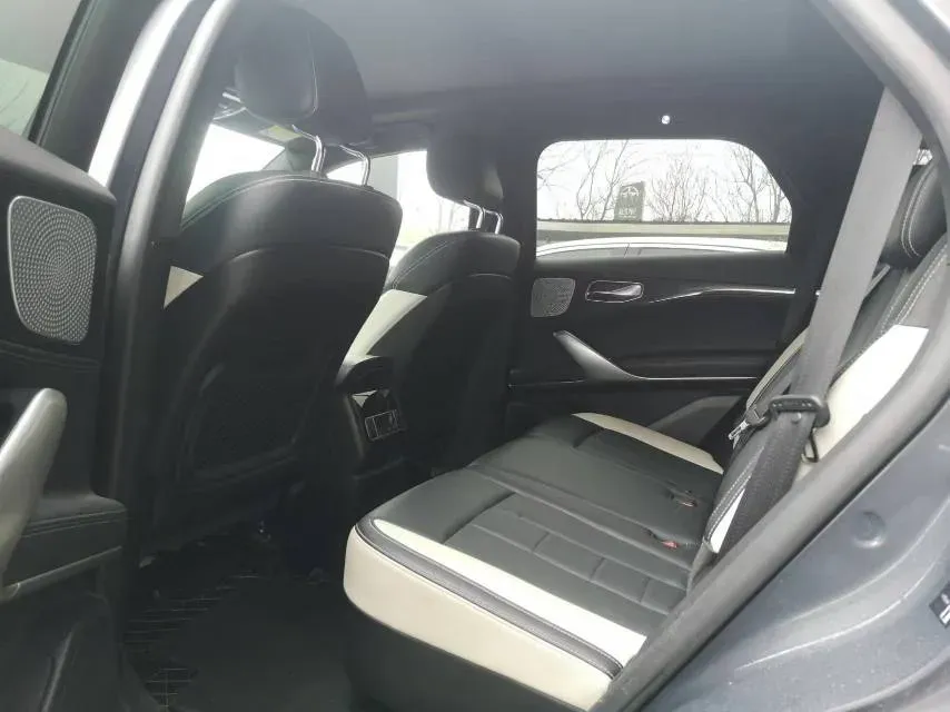 2020 Denza X 2.0T 192HP L4 6DCT PHEV 20KWH,autocango,china used car exporter,china ev exporter,chinese used car exporter,chinese used ev exporter