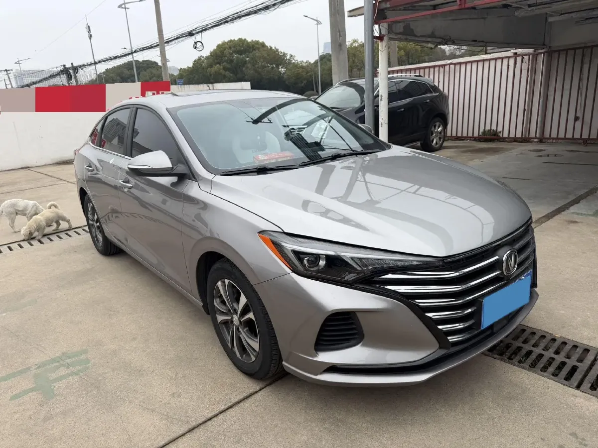 2020 ChangAn Eado 1.6L 128HP L4 CVT,autocango,china used car exporter,china ev exporter,chinese used car exporter,chinese used ev exporter