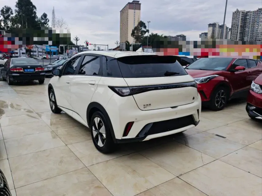 2023 BYD Dolphin BEV 44.928KWH,autocango,china used car exporter,china ev exporter,chinese used car exporter,chinese used ev exporter