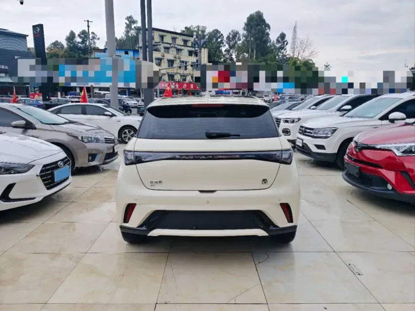 2023 BYD Dolphin BEV 44.928KWH,autocango,china used car exporter,china ev exporter,chinese used car exporter,chinese used ev exporter