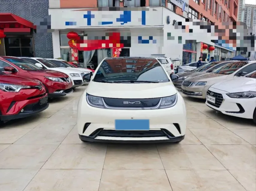 2023 BYD Dolphin BEV 44.928KWH,autocango,china used car exporter,china ev exporter,chinese used car exporter,chinese used ev exporter