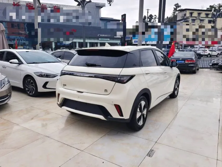 2023 BYD Dolphin BEV 44.928KWH,autocango,china used car exporter,china ev exporter,chinese used car exporter,chinese used ev exporter