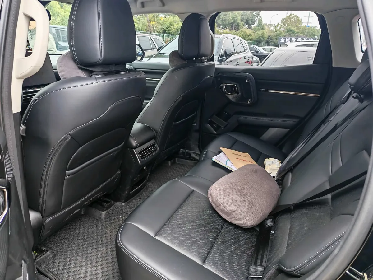 2023 Haval Dargo PLUS 2.0T 238HP L4 9DCT,autocango,china used car exporter,china ev exporter,chinese used car exporter,chinese used ev exporter