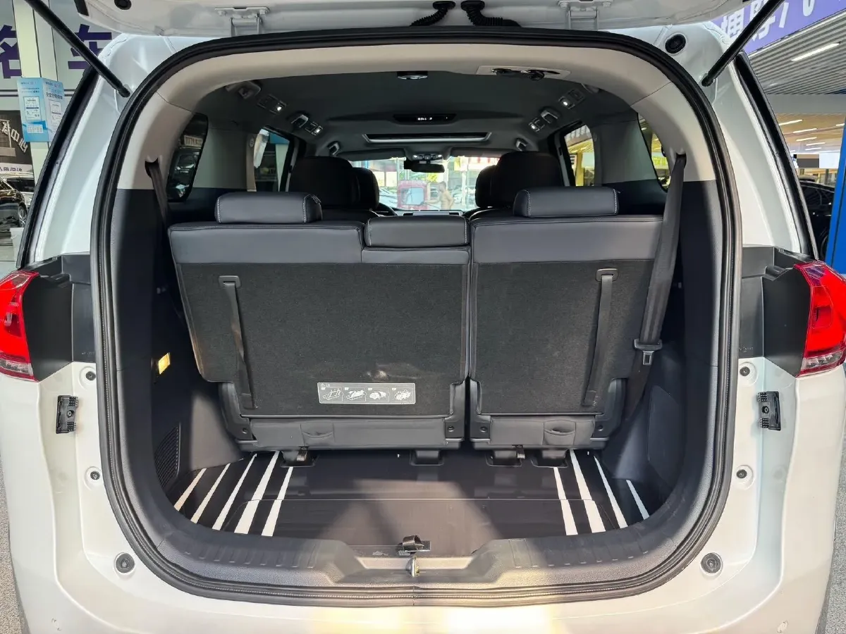 2021 GAC Trumpchi M8 2.0T 252HP L4 8AT,autocango,china used car exporter,china ev exporter,chinese used car exporter,chinese used ev exporter