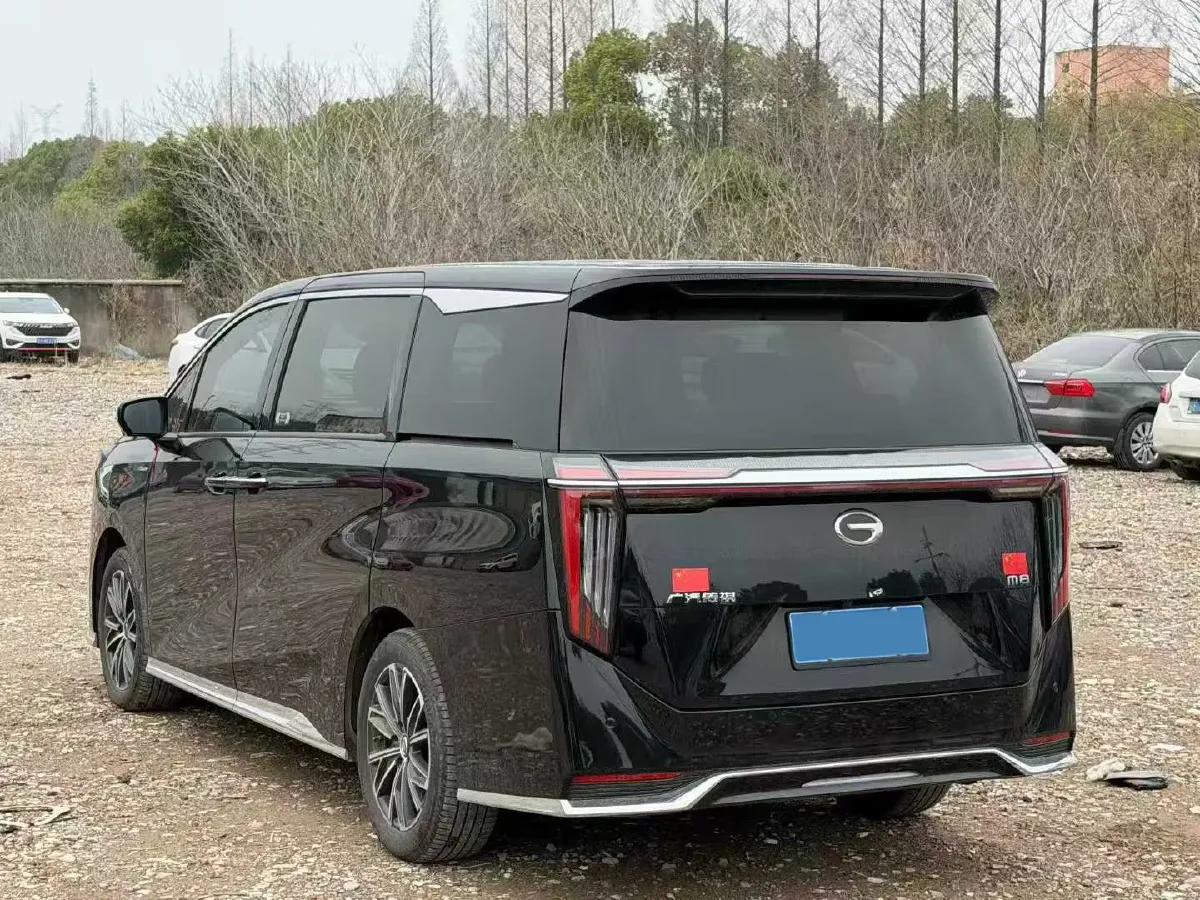 2024 GAC Trumpchi M8 2.0T 252HP L4 8AT,autocango,china used car exporter,china ev exporter,chinese used car exporter,chinese used ev exporter