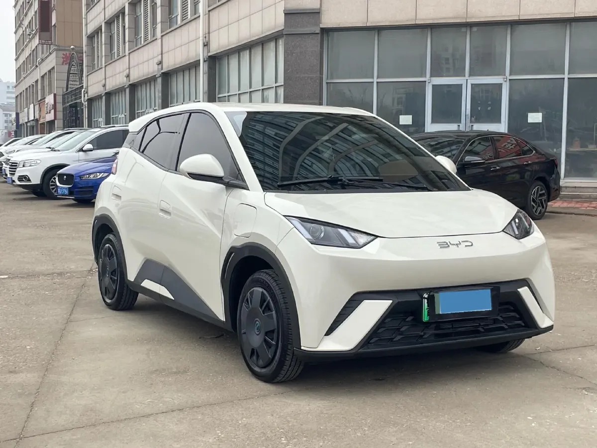 2024 BYD Seagull BEV 30.08KWH,autocango,china used car exporter,china ev exporter,chinese used car exporter,chinese used ev exporter